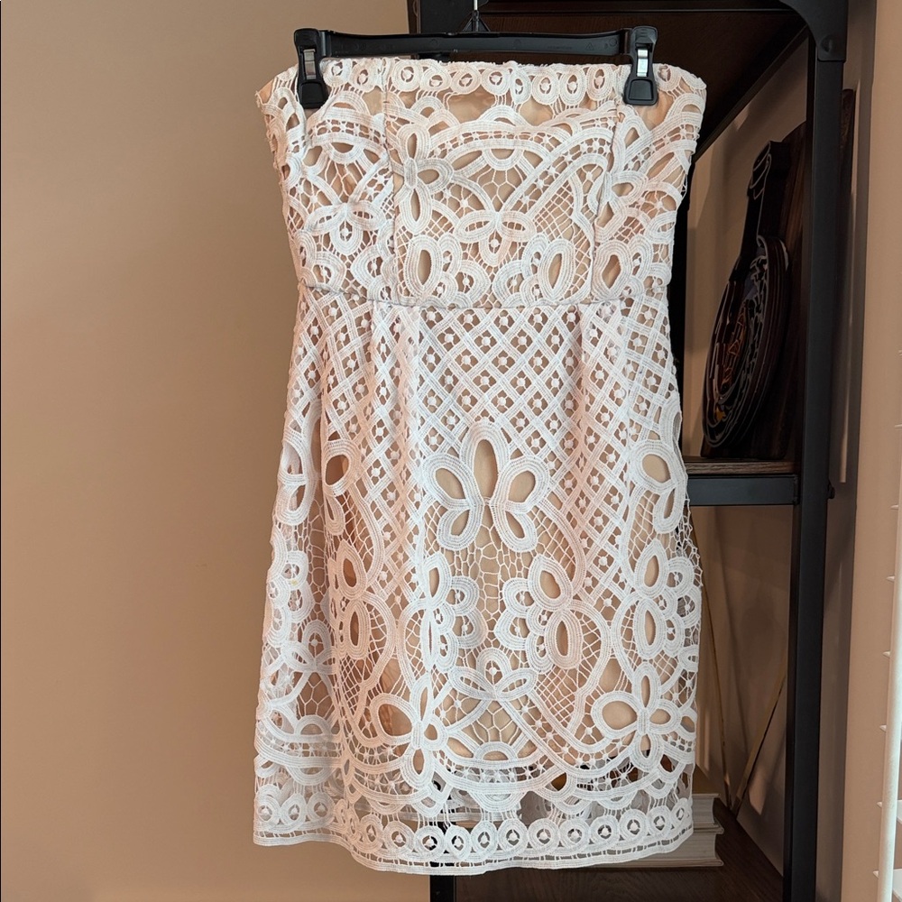 Francesca's Collections Lace Dress